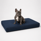 Jr OG Orthopedic Bed
