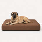 OG Orthopedic Bed