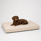 Jr OG Orthopedic Bed