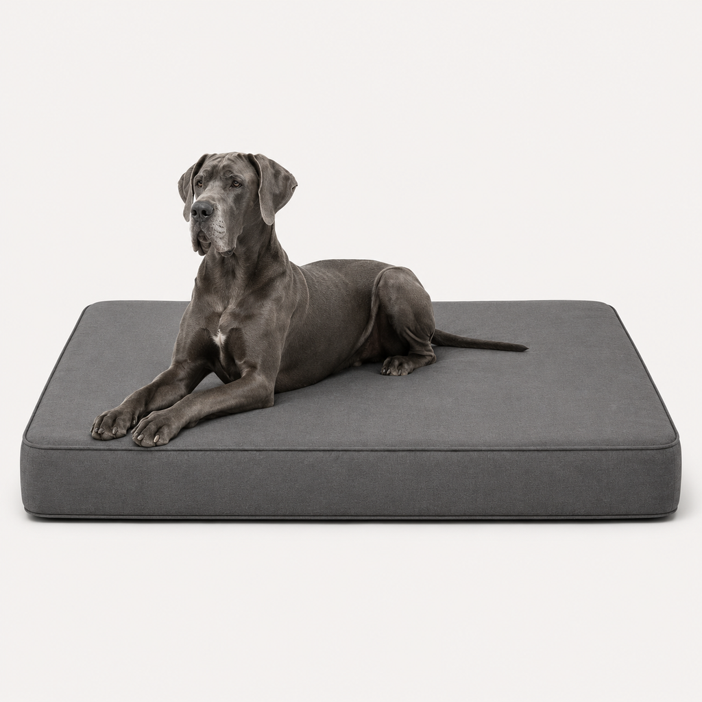 OG Orthopedic Bed