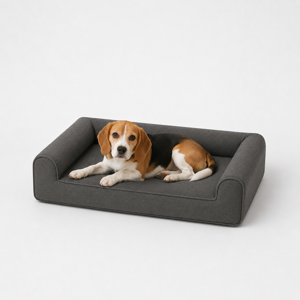 Jr OG Orthopedic Bed