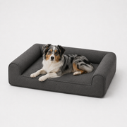 Jr OG Orthopedic Bed