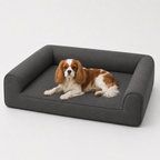 Jr OG Orthopedic Bed