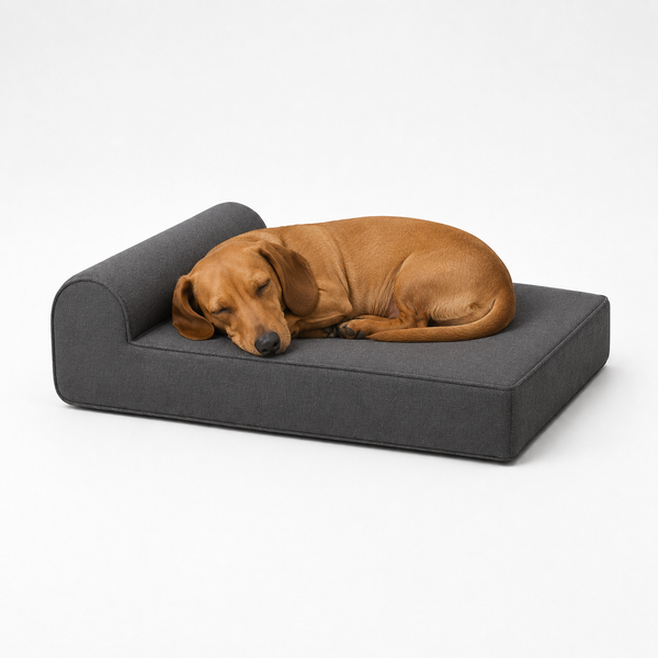 Jr OG Orthopedic Bed