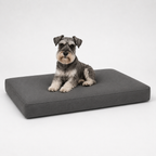 Jr OG Orthopedic Bed
