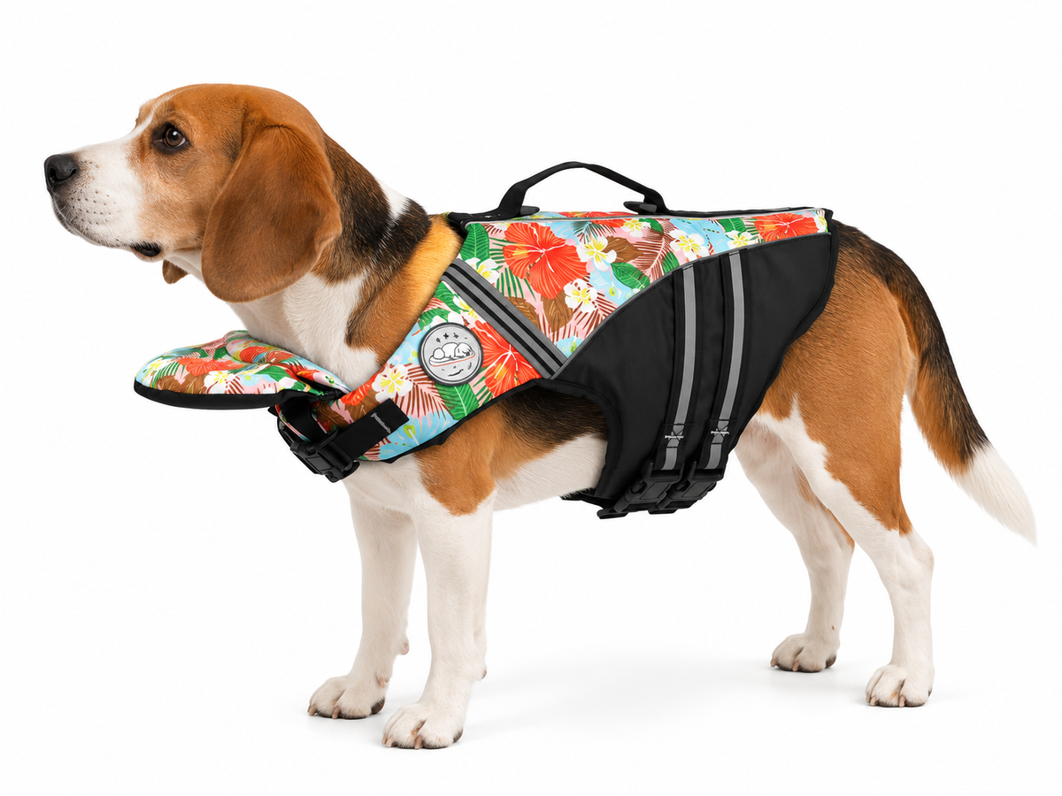 Dog Life Jacket for Swimming & Boating - Medium