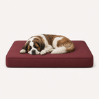 OG Orthopedic Bed