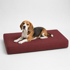 Jr OG Orthopedic Bed