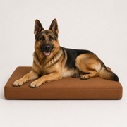 OG Orthopedic Bed
