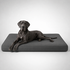 OG Orthopedic Bed