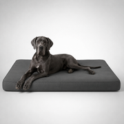 OG Orthopedic Bed
