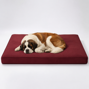 OG Orthopedic Bed