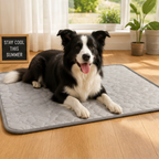 Dog Cooling Mat