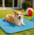 Dog Cooling Mat
