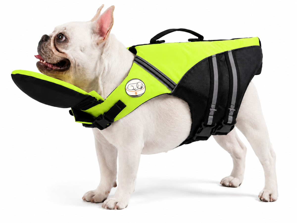 Dog Life Jacket for Swimming & Boating - Small