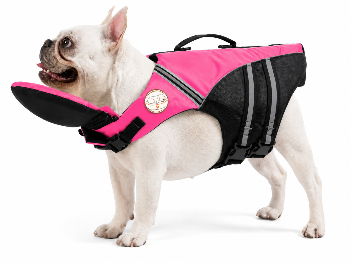 Dog Life Jacket for Swimming & Boating - Small