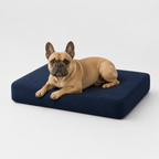 Jr OG Orthopedic Bed