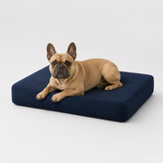Jr OG Orthopedic Bed