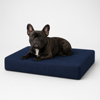 Jr OG Orthopedic Bed