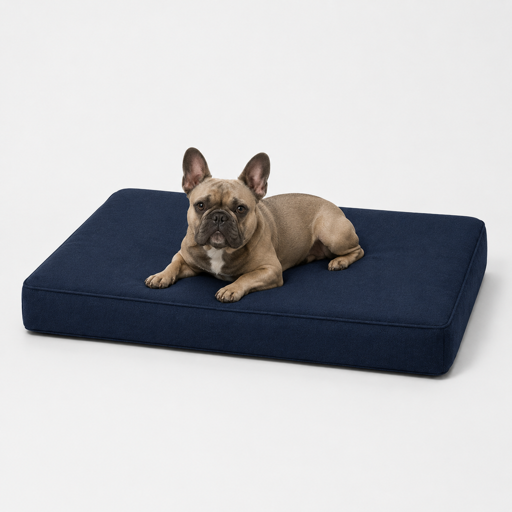 Jr OG Orthopedic Bed
