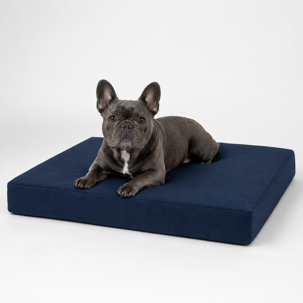 Jr OG Orthopedic Bed