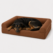 OG Orthopedic Bed