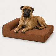 OG Orthopedic Bed