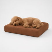 Jr OG Orthopedic Bed