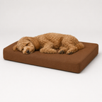 Jr OG Orthopedic Bed