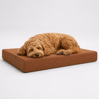 Jr OG Orthopedic Bed