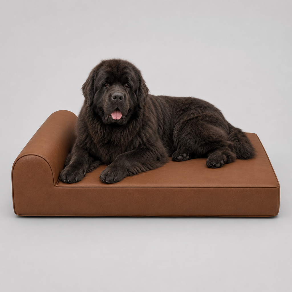 OG Orthopedic Bed