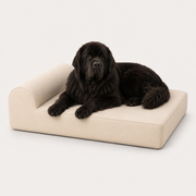OG Orthopedic Bed