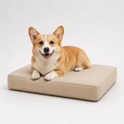 Jr OG Orthopedic Bed