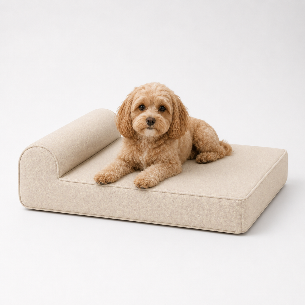 Jr OG Orthopedic Bed