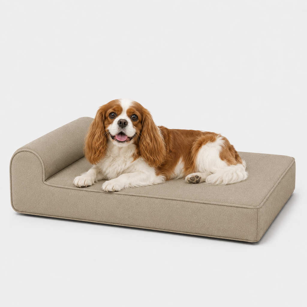 Jr OG Orthopedic Bed