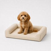 Jr OG Orthopedic Bed