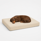 Jr OG Orthopedic Bed
