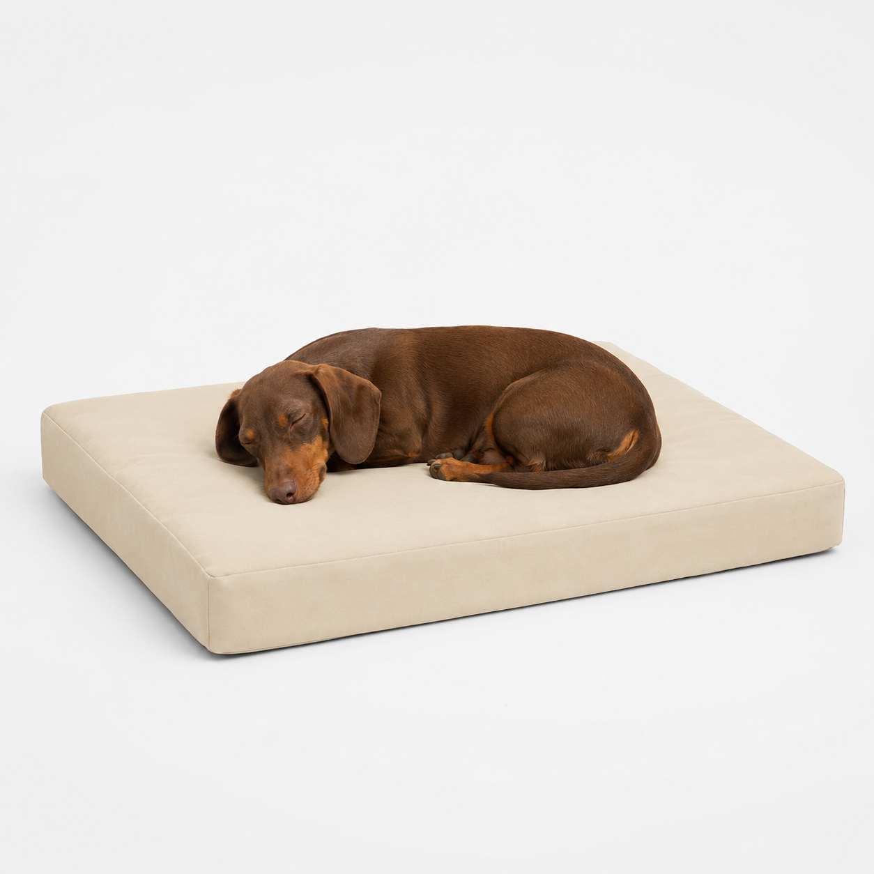 Jr OG Orthopedic Bed