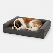 OG Orthopedic Bed
