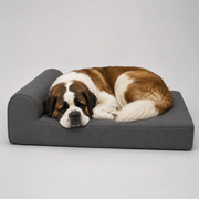 OG Orthopedic Bed