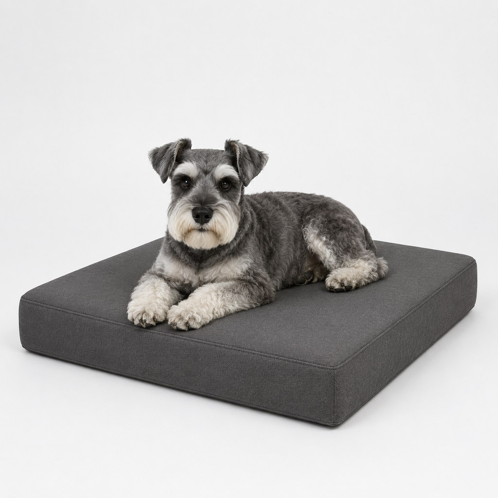 Jr OG Orthopedic Bed