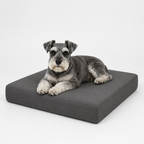 Jr OG Orthopedic Bed
