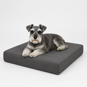 Jr OG Orthopedic Bed