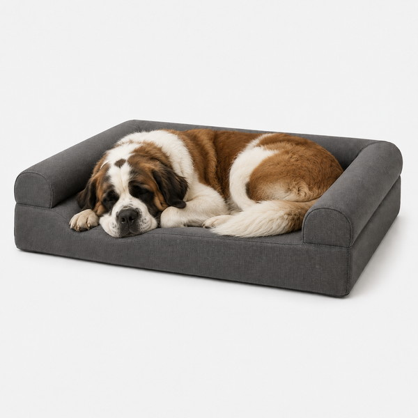 OG Orthopedic Bed