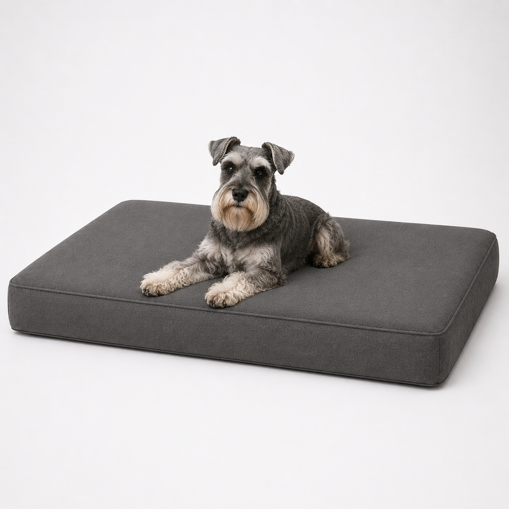 Jr OG Orthopedic Bed