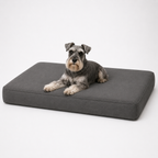 Jr OG Orthopedic Bed