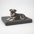 Jr OG Orthopedic Bed