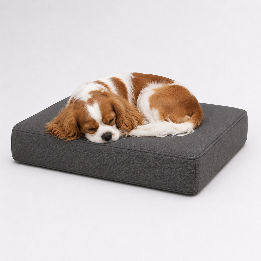 Jr OG Orthopedic Bed