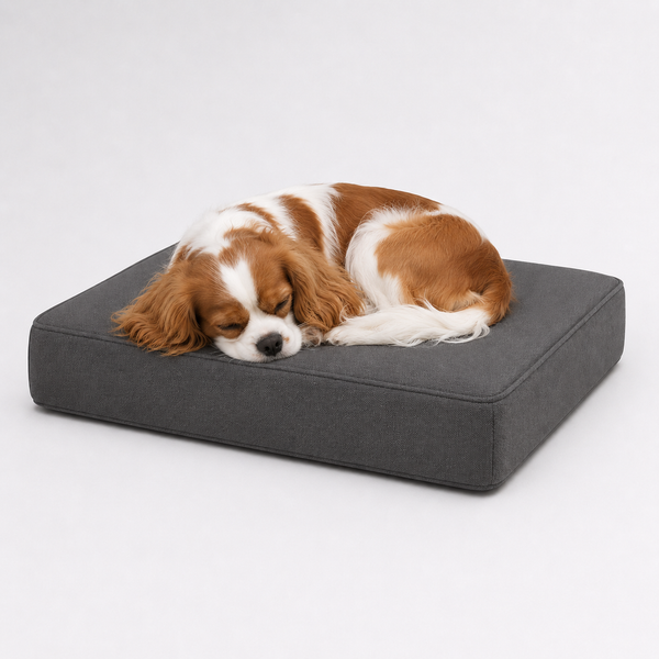 Jr OG Orthopedic Bed
