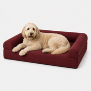 OG Orthopedic Bed